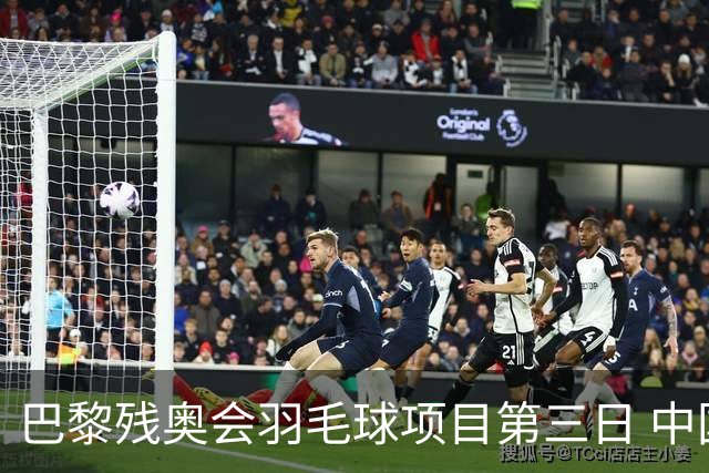 巴黎残奥会羽毛球项目第三日 中国队取得13胜3负